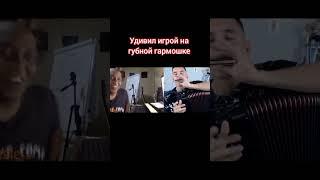 сыграл на губной гармошке в чат рулетке/ played harmonica in chatroulette #музыка #губнаягармошка