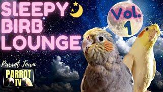 Sleepy Birb Lounge [Vol. 1] Calm Piano Music for Birds | Parrot Music TV for Your Bird Room