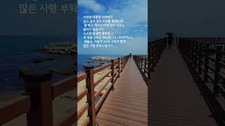제 채널 구독은 취소하시고 좋은 #시사 유튜브 구독하세요 ~
