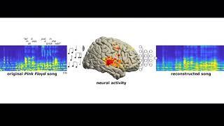 AI reconstructed pink floyd song from brain activity