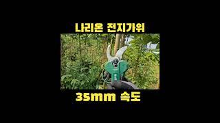 #나리온 #전지가위