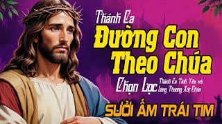 Tuyệt Đỉnh Thánh Ca ĐƯỜNG CON THEO CHÚA | Chọn Lọc Thánh Ca Xám Hối | Thánh Ca Công Giáo