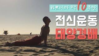 온몸을 골고루 자극하는 전신운동 태양경배 자세  | 10분 요가 시리즈 | 요가소년 014