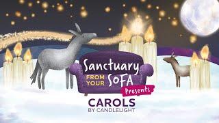 Sanctuary From Your Sofa presents Carols by Candlelight 2022