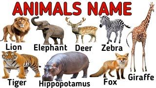 ANIMALS !! Animals Name with Facts and Pictures | Animals Name For kids