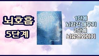 뇌호흡 5단계 - 1단계 뇌감각 깨우기, 2단계 뇌 유연화하기