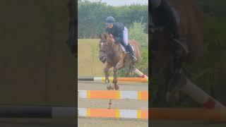 Basically i just love capturing horses jump 