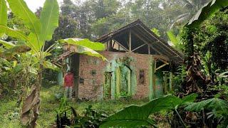 Nekad ‼️ Puluhan Tahun Satu Keluarga Memilih Tinggal Di Antara Puing² Rumah Kosong Di Tengah Hutan