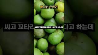매실청! 독성 제거 이거면 되네요! 꼭지 안따요~ 자연산 매실로 담아봤습니다. [#shorts]