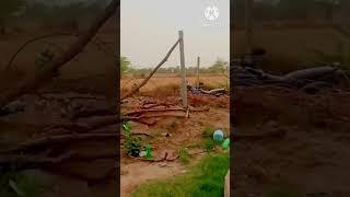 ghaw ka sukun  |#desi #jsrstudio #shortvideo root square kaise nikale