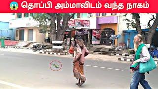  தொப்பி அம்மாவிடம் வந்த நாகம் திருவண்ணாமலை  | తిరువణ్ణామలై, టోపీ తల్లికి వచ్చిన డ్రాగన్ | Siddhar