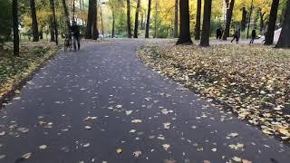 Most popular squirrel in Moscow (Gorky Park)