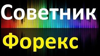 Лучший советник форекс 2017 . + Приветственный Бонус 250 процентов от сумы депозита