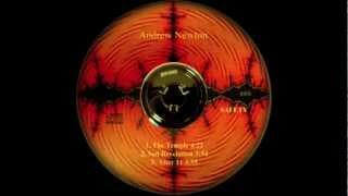 Andrew Newton: After 11 (2002)