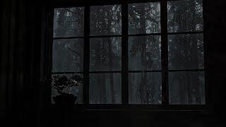 The Sound Of Rain On A Window With Thunder | Rain In The Forest At NightRelax, Sleep or Study