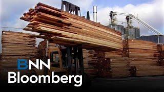 Lumber sector expected to be hit with increased duties, more closures