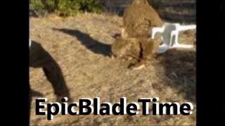Kicking A Throwing Knife! - Epic Blade Time
