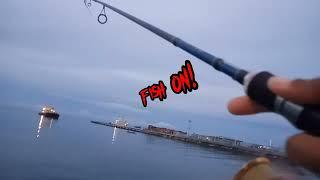 ML902 EP 5: FISHING MOTIVATION FOR MY FELLOW BEGINNERS