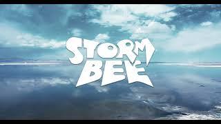 Rushing to the Mountains and Seas-Surron Storm Bee