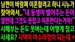 (반전사연)남편이 바람펴 이혼할려고 하니 시누가 남편 벌어다주는 돈이 많다며 참고 살라는데..시매부의 바람을 알려줬더니 시댁이 아수라장이 되는데[신청사연][사이다썰][사연라디오]