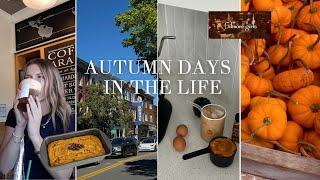 FALL VLOG  decor shopping, coffees, gilmore girls rewatch!