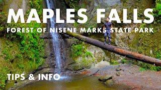 Hiking Bridge Creek to Maple Falls at Forest of Nisene Marks State Park near Santa Cruz, California