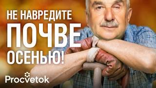 ПОЧВА ОСЕНЬЮ: 8 КОВАРНЫХ ОШИБОК! Что внести в грядки с осени, а от чего лучше отказаться?