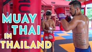 Muay Thai Class | What to Expect When Training Muay Thai in Thailand