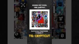 КОНЕЦ ФАРМА НОТ ПИКСЕЛЬ? | Когда дроп и листинг Not Pixel | ТГ: cryptcut