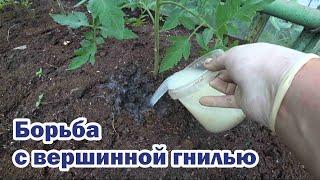 Профилактика и лечение от вершинной гнили