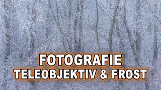 Bessere WINTER LANDSCHAFTSFOTOGRAFIE mit dem TELEOBJEKTIV | Gefrorener Wald und eisiger Nebel