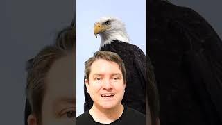 How Eagles Really Sound