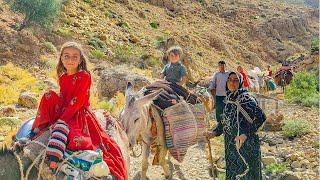 Persian Nomad Migration : The Moving Saga of ROSTA Nomads | Nomadic Life Records 