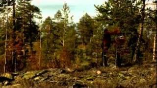 Summer in Lapland 010