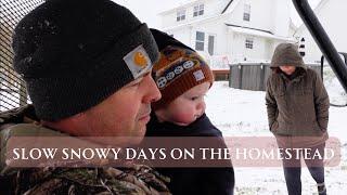 Slow snowy days on the homestead