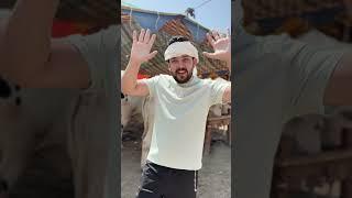 35 LAKHKA PROFIT AUR QURBANI KA JANWAR