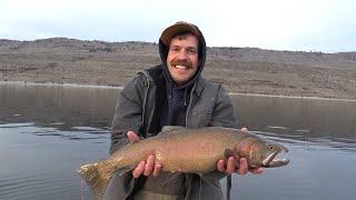 Epic Fishing Lahontan Cutthroat Trout (Omak Lake)