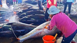 500km Chase！Huge Bluefin Tuna Catching, Bluefin Tuna Cutting Master, Tuna Belly Sushi, Sashimi