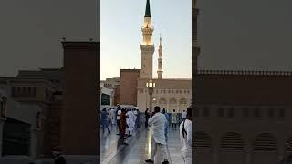 Roza e Rasool pbuh/Madina Pak #madina #shorts #shortvideo #trending #video#fyp #fypage #viralreels