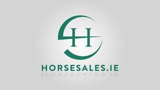 HorseSales - Online Equine Auctions