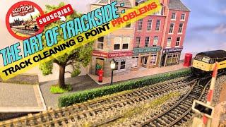 How To CLEAN Model Railway Track Points (Plus... Hornby Loco Problems!)