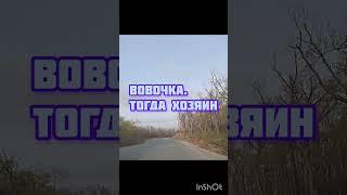черника#