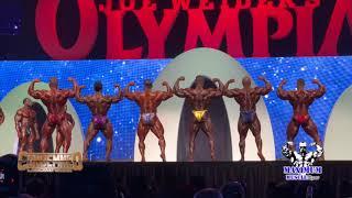 2019 Mr. Olympia Men's Open Bodybuilding Top 6 Comparison