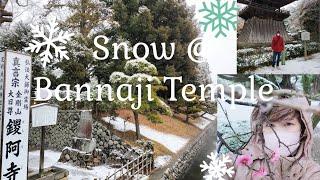 BANNAJI TEMPLE Ashikaga falling Snow  ..... Feb. 5, 2024...