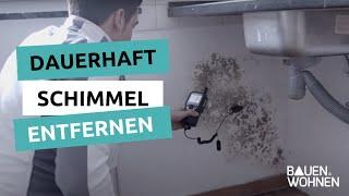 Schimmel entfernen - dauerhaft und gründlich | BAUEN & WOHNEN