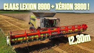  MOISSONNEUSE CLAAS LEXION 8900 + XÉRION 3800 à la MOISSON 2024 : pour leurs derniers chantiers!