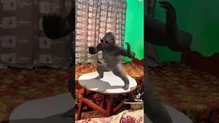 #1 trending on TikTok | monkey dancing,,, #funny #tiktok #shorts #tiktube #viral #youtubeshorts