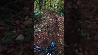 Sculpted Loam Rhythm Rut Track #shorts