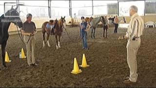 Kursbesuch: "Feines Reiten" mit Peter Kreinberg