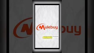 Mulebuy is your best alternative for PandaBuy and HagoBuy